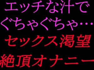 エッチな汁でぐちゃぐちゃ…セックス渇望絶頂オナニー レビュー・感想｜絶頂ひとりオナ子の人気オナニー同人【サンプルあり】