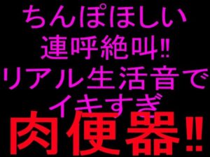 ちんぽほしい連呼絶叫！！リアル生活音でイキすぎ肉便器！！の評価・感想｜オナニー系同人誌レビュー【2026年】