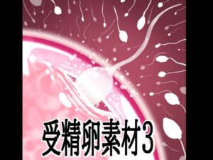 受精卵素材3の評価・感想｜イラスト・CG集系同人誌レビュー【2026年】
