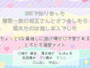 SNSで知り合った解釈一致の相互さんとオフ会したら現れたのは推し本人でした。ちょっとSな最推しに逃げ場ゼロで愛される、とろとろ溺愛ナイト レビュー