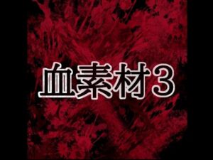 血素材3の評価・感想｜イラスト・CG集系同人誌レビュー【2026年】