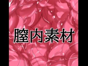 膣内素材 レビュー・感想｜水の木の人気イラスト・CG集同人【サンプルあり】