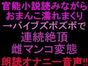 官能小説読みながらおまんこ濡れまくりバイブズボズボで連続絶頂、雌マンコ変態朗読オナニー音声！！ レビュー