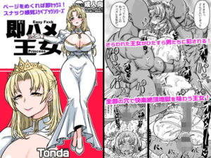 即ハメ王女 レビュー・感想｜ShiftAltOnの人気巨乳同人【サンプルあり】