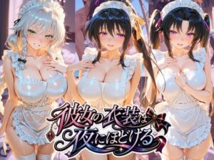 彼女の衣装は夜にほどける ハ〇スクールD×Dの評価・感想｜体操着・ブルマ系同人誌レビュー【2026年】