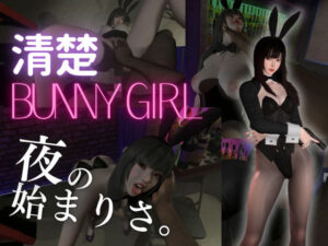 【BunnyGirl】黒髪清楚バニーと夜の始まりさ。夜のバーでバニー服従。 レビュー・感想【サンプルあり】