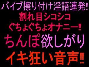 バイブ擦り付け淫語連発！！割れ目シコシコぐちょぐちょオナニー！！ ちんぽ欲しがりイキ狂い音声！！ レビュー