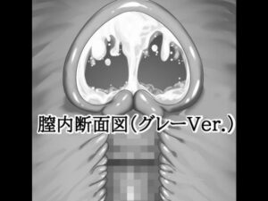 膣内断面図素材（グレーVer.） レビュー・感想｜水の木の人気イラスト・CG集同人【サンプルあり】