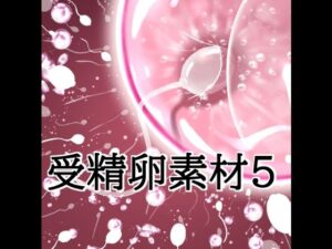 受精卵素材5の評価・感想｜イラスト・CG集系同人誌レビュー【2026年】