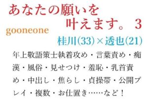あなたの願いを叶えます。3 レビュー・感想｜gooneoneの人気羞恥同人【サンプルあり】