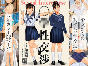 ○○性交渉  レイ・知恵編の評価・感想｜イラスト・CG集系同人誌レビュー【2026年】
