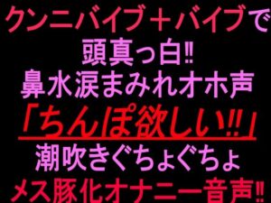 クンニバイブ＋バイブで頭真っ白！！鼻水涙まみれオホ声「ちんぽ欲しい！！」潮吹きぐちょぐちょメス豚化オナニー音声！！ レビュー