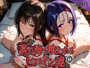 夏の海で喰われるヒロイン達 T●LOVEる編 レビュー・感想｜なぐさめ屋(寝取られ専門)の人気辱め同人【サンプルあり】