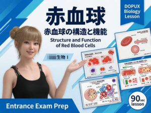【▲20】パンチラガチャ★一ノ瀬廻里 大学に進学し強豪予備校『DOPUX（ドピュックス』で生物I，IIを教える名物講師に！（Vol.058:赤血球） レビュー